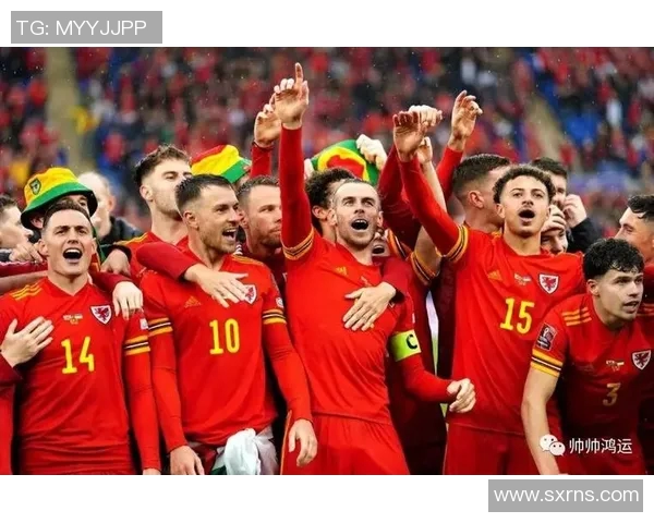 欧预赛精彩对决阿美尼亚迎战芬兰争夺晋级名额